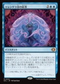 (JPN) �����ɥ�ë�α���(ECL) �ġ����å쥢��MTG�� NM