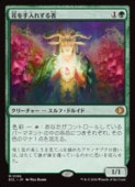 (JPN) �֤�����줹���(ECL) �С����å쥢��MTG�� NM