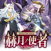 �֡��������ѥå����ҷ�λȼԡ�BOX�ڥ����󥬡��ɡ�