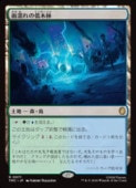 (JPN)(������FOIL) ��Ǩ���������(TMC) �ϡ��쥢��MTG�� NM