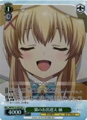 (SMP) ǭ�Τ��зޤ� ��(SR)(W137-032SR)��SR�ڥ����������������ġ� NM