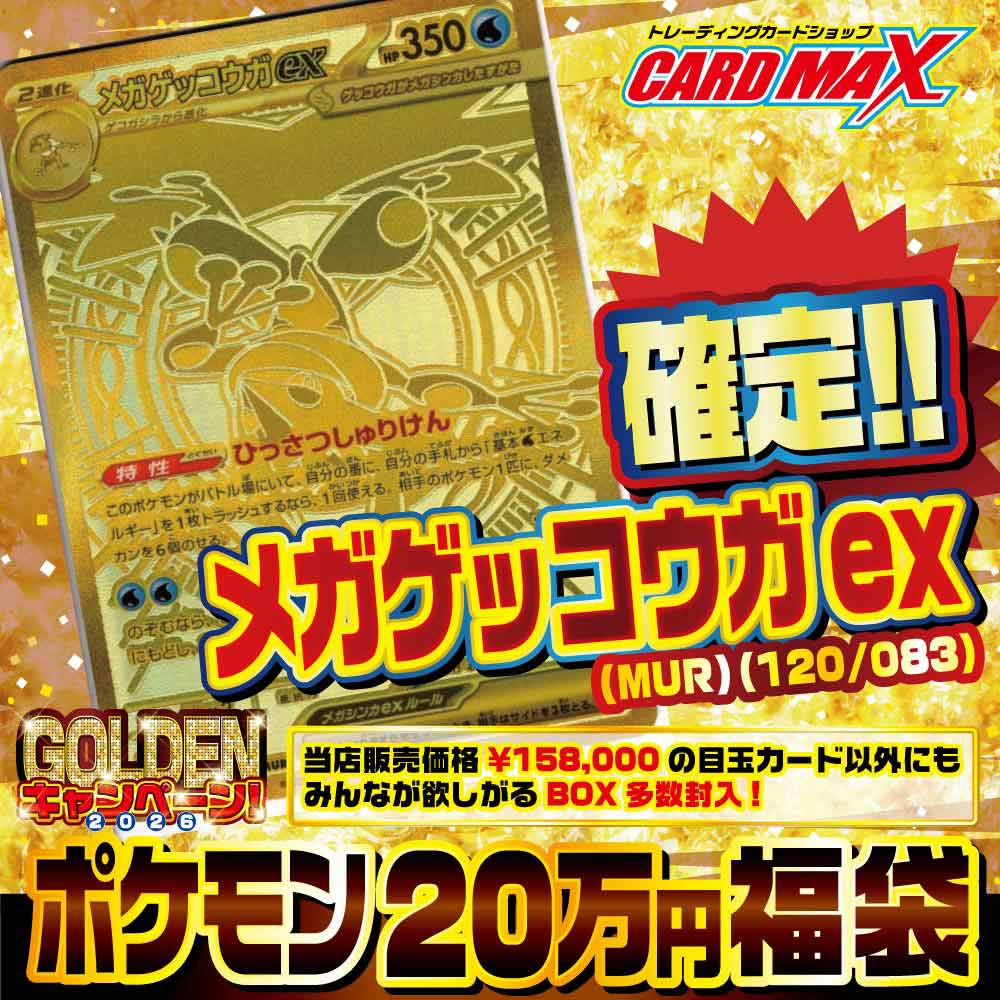 福袋 ポケモンカードゲーム ポケモンカード box ポケモン 2024年