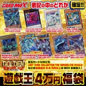 タ*キ様 【トレカ福袋】バディファイト各種トレーディングカード34パックセット 福袋｜CARDMAX｜トレーディングカード（トレカ）通販・買取