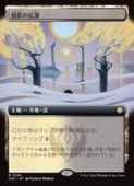 (JPN)(��ĥ������) ���Ƥι���(SOC) �ϡ��쥢��MTG�� NM