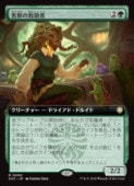 (JPN)(��ĥ������) ���äε߽���(SOC) �С��쥢��MTG�� NM