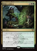 (JPN)(FOIL) ���դ��붥�迴(SOS) ¿���쥢��MTG�� NM
