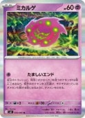 ��m5�ۡ��ߥ��륲(R)(033/081)��R�ڥݥ���󥫡��ɥ������ NM