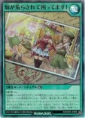 �С�Ȫ���Ӥ餵��ƺ��äƤޤ�!(SR)(RD/AP02-JP028)����ͷ���� ��å���ǥ奨��� NM