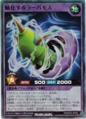 �硡�첽����顼�Х⥹(SR)(RD/AP02-JP033)����ͷ���� ��å���ǥ奨��� NM
