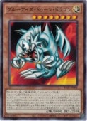�֥롼���������ȥ����󡦥ɥ饴��(N)(RV01-JP008)���Ρ��ޥ��ͷ������ NM