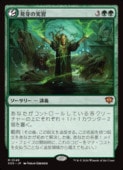 (JPN)(FOIL) ȯ��μ½�(SOS) �С����å쥢��MTG�� NM