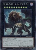 ��̿���� ��륯�ꥦ��(SR)(WPP7-JP064)�������ѡ��쥢��ͷ������ NM