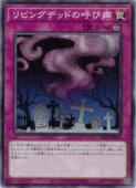 ��ӥ󥰥ǥåɤθƤ���(N)(WPP7-JP011)���Ρ��ޥ��ͷ������ NM