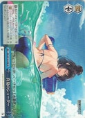 (BRD) ���ƤΥ��塼����(CR)(W139-098)��CR�ڥ����������������ġ� NM