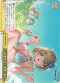 (BRD) �ߥåɥ��ޡ����ɥ꡼��(CR)(W139-024)��CR�ڥ����������������ġ� NM