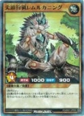 �㡡��Ƭ���ĥ��륫�˥�(SRP)(RD/26S1/JP006)����ͷ���� ��å���ǥ奨��� NM