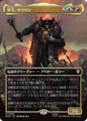 (ENG)(FOIL)(�ܡ������쥹) ̽������������(HOC) ¿�����å쥢��MTG�� NM