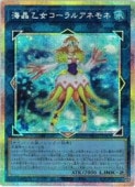 ��������������륢�ͥ��(PSR)(UT01-JP042)����ͷ������ NM