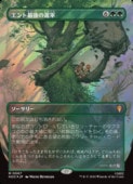 (JPN)(������FOIL) ����ȺǸ�οʷ�(HOC) �С����å쥢��MTG�� NM