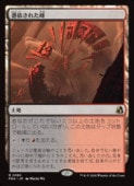 (ENG)(FOIL) ��ͤ��줿��(FRA) �ϡ��쥢��MTG�� NM