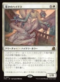 (ENG)(FOIL) Ƴ���Υϥ��ɥ�(FRA) ����쥢��MTG�� NM