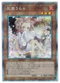 ��ͷ�����۳�ή�����(���饹�Ȱ㤤)(PSR)(PAC1-JP016)��