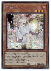 遊戯王灰流うらら(イラスト違い)(S)(PAC1-JP016)◇シークレットレア 