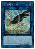��ͷ�����ۼ��ε����ԥ�(S)(SAST-JP051)����������åȥ쥢