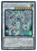 ��ͷ�����ۥ����������ȡ��ɥ饴��(���饹�Ȱ㤤)(S)(PAC1-JP006)����������åȥ쥢