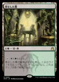 MTG(JPN) ष(RVR) ϡ쥢