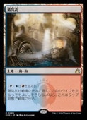 MTG(JPN) (RVR) ϡ쥢