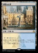 MTG(JPN) ʤ(RVR) ϡ쥢