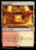 MTG(JPN) ʤ¤(RVR) ϡ쥢