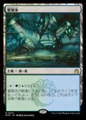 MTG(JPN) ˿(RVR) ϡ쥢