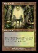 ��MTG��(JPN)(FOIL)(����) ��ष����(RVR) �ϡ��쥢