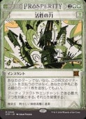 ��MTG��(JPN)(���硼������) ��������(OTP) �С����å쥢