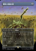 MTG(JPN)(ܡ쥹) ±ȵη(ACR) å쥢