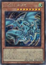 【PSA10】心宿りし青眼竜 シークレットレア 遊戯王】心宿りし青眼竜(S)(ROTA-JP004)◇シークレットレア｜遊戯王,12
