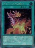 ͷۥɥܳФ(S)(WPP5-JP037)åȥ쥢