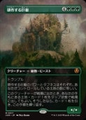 MTG(JPN)(FOIL)(ܡ쥹) ̺(INR) Сå쥢