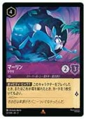 ڥǥˡ륫ʡȥ졼ǥ󥰥ɥ(RTF)(FOIL) ޡ--(R)(52/204)