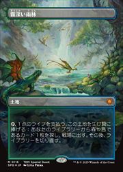 MTG】(ENG)(ボーダーレス)(ドラゴンスケイルFOIL) 霧深い雨林(SPG) 地 