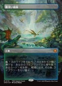 MTG(JPN)(ܡ쥹)(ɥ饴󥹥FOIL) ̸(SPG) ϡå쥢