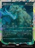 ��MTG��(JPN)(���硼������)(�ϥ���FOIL) �����Υӥҥ⥹(TDM) �С����å쥢