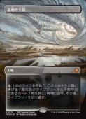 MTG(JPN)(ܡ쥹)(ɥ饴󥹥FOIL) Ϥδ(SPG) ϡå쥢