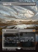MTG(ENG)(ܡ쥹)(ɥ饴󥹥FOIL) Ϥδ(SPG) ϡå쥢