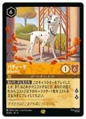 ڥǥˡ륫ʡȥ졼ǥ󥰥ɥ(DLC) (FOIL)ѥǥȤ츤(LG)(15/204)