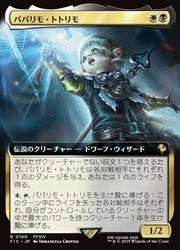 MTG 稀少 パパリモ・トトリモ 日本語 拡張アート FOIL MTG】(ENG)(FOIL)(拡張アート) パパリモ・トトリモ(FIC) 多