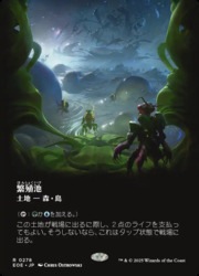永劫の好奇心 ボーダレス フォイル 4枚 英語 フラクチャーFOIL