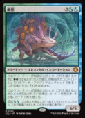 ��MTG��(ENG)(FOIL) ͩ��(ECL) ¿�����å쥢